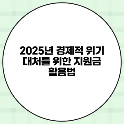 2025년 경제적 위기 대처를 위한 지원금 활용법