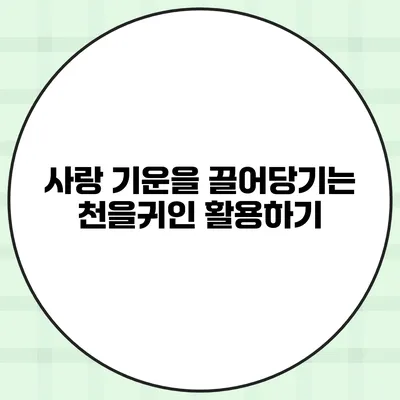 사랑 기운을 끌어당기는 천을귀인 활용하기