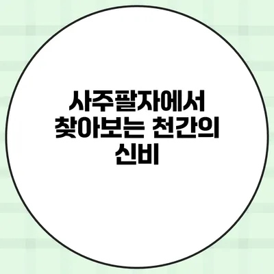 사주팔자에서 찾아보는 천간의 신비