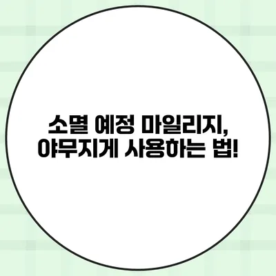 소멸 예정 마일리지, 야무지게 사용하는 법!