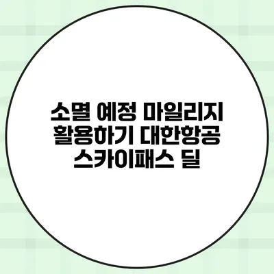 소멸 예정 마일리지 활용하기 대한항공 스카이패스 딜