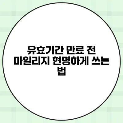 유효기간 만료 전 마일리지 현명하게 쓰는 법